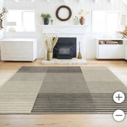 8ft X 10ft Ruggable Flatwoven Washable Gradasi Area Rug 