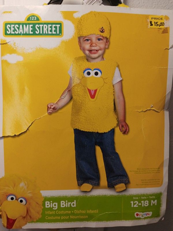 Big Bird Costume, Sesame Street Costumes, Kids Costumes, Bird Costumes