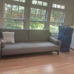 Gray Couch