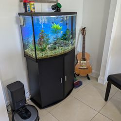 Complete Freshwater Tropical Fish Set Up