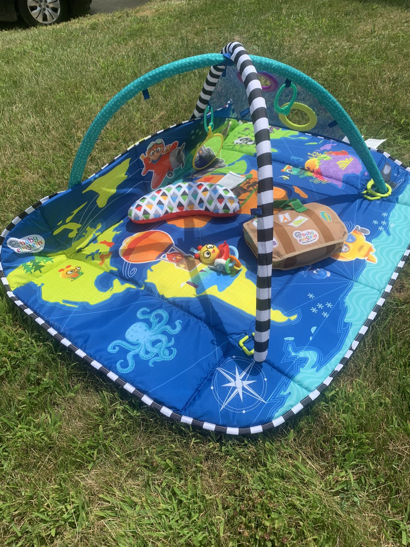 Baby Einstein Play Mat