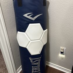 Boxing Bag & Equipment for MMA, Kickboxing, Muay Thai, Home Gym Training
