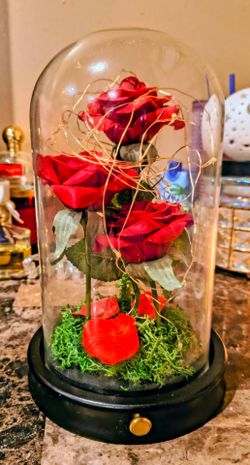 🌹🌹 Enchanted Rose Glass Done with LED Lights🌹🌹