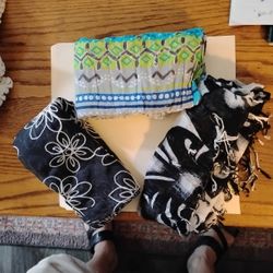 Scarfs (Set Of Three) Ladies Light Weight Neck Scarves