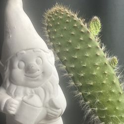 Gnome Cacti Tools 