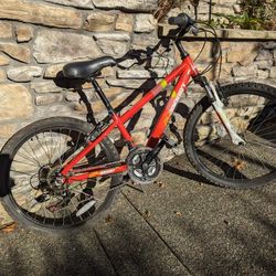 Diamondback octane complete 2025 youth bike