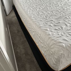 Twin XL Mattress and Adjustable Bed Frame