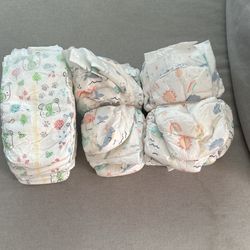 Free up& Up And Kirkland Diaper Size 6
