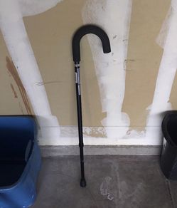 Cane