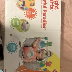Baby Bouncer Seat New 