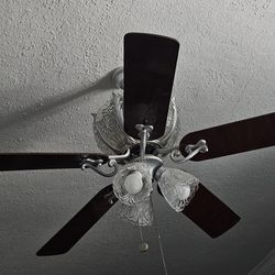 Beautiful Decorative Ceiling Fan