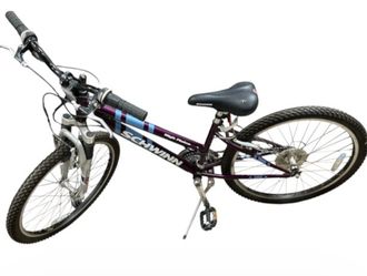 Schwinn High Plains Mountain Bike Purple Shimano w/ Original 2002 Tag 14”