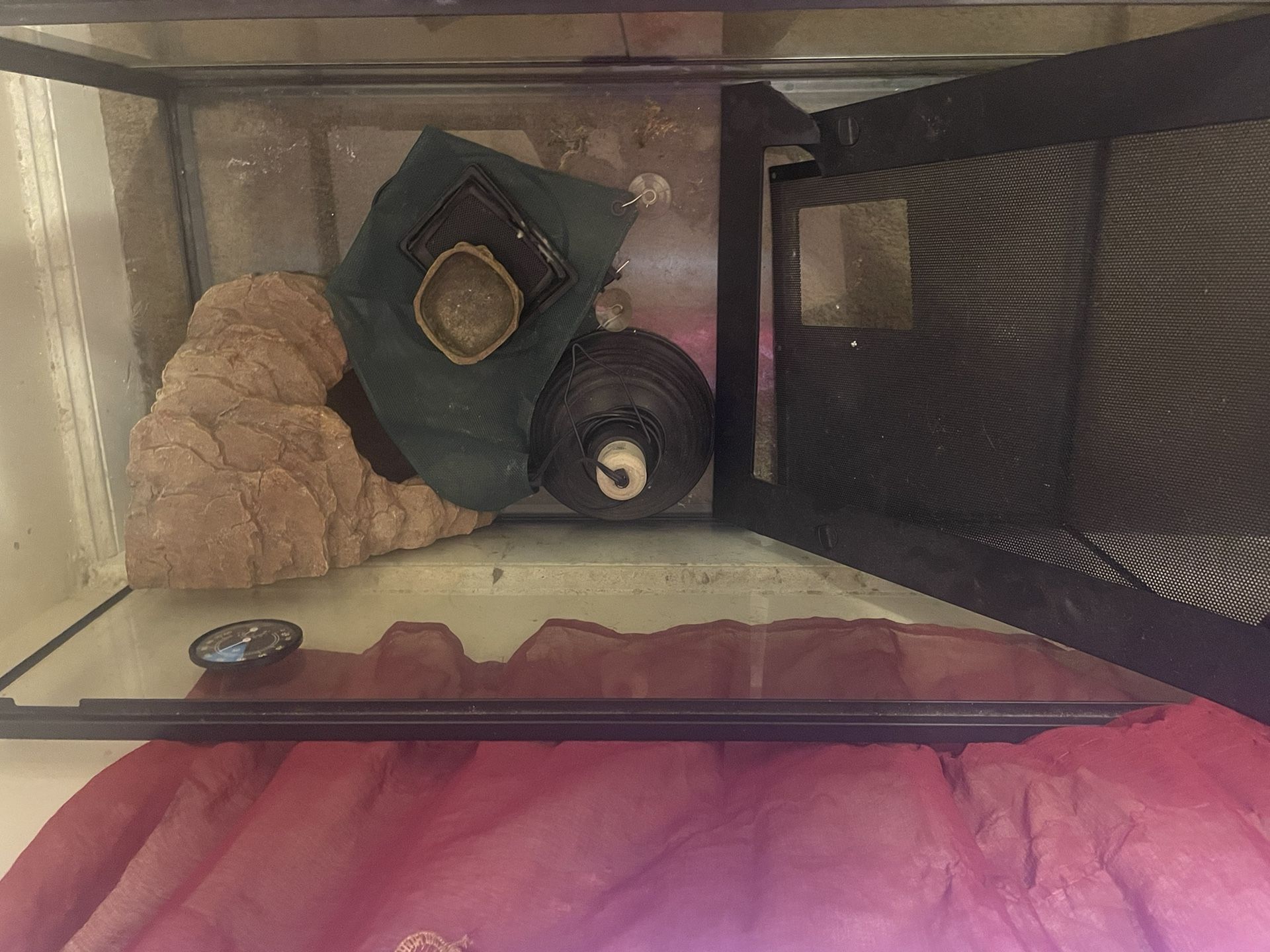 Reptile tank