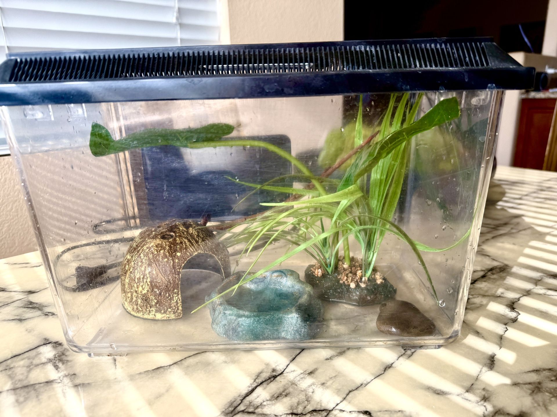 Reptile Or Fish Tank