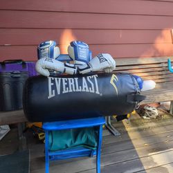 Everlast Heavy Bag&Two Sets Of Gloves