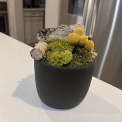 Flower Pot for Home Decor – Modern Plant Pots for Indoor black