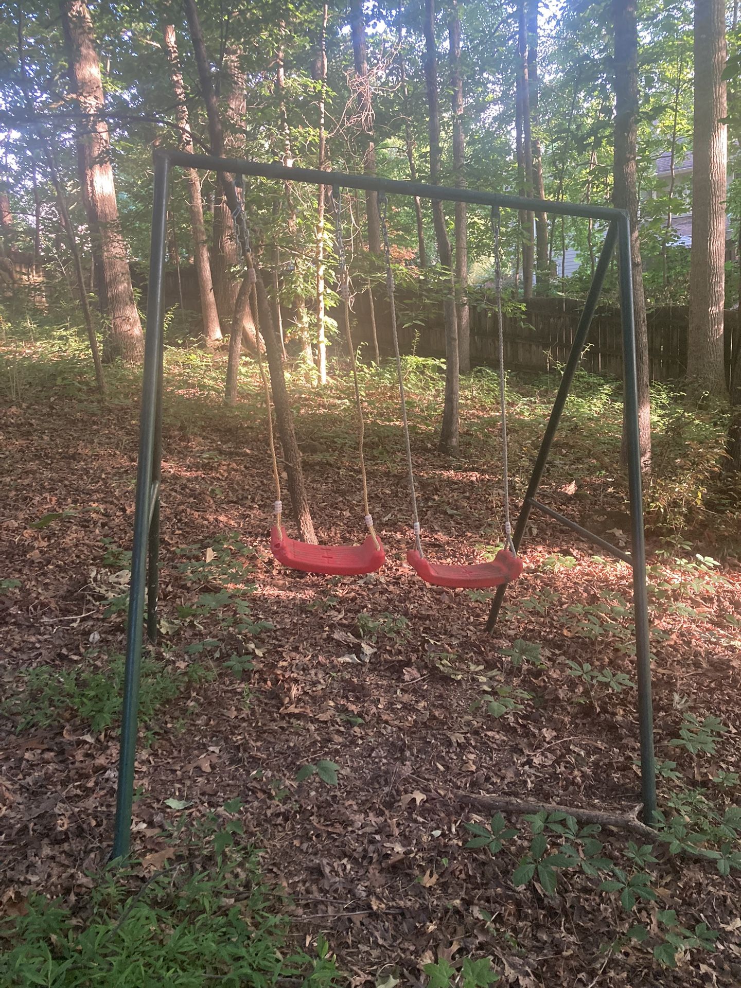 Twin Swing Set