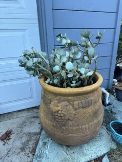 Large 60 Gallon Terra Cotta Planter 