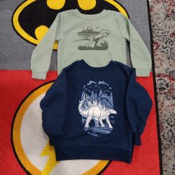 Toddler Sweatshirt