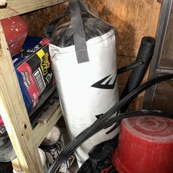 Everlast Punching Bag And Gloves