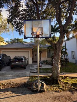 Lifetime Portable Basketball Hoop