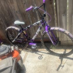 SE bike big flyer 29in