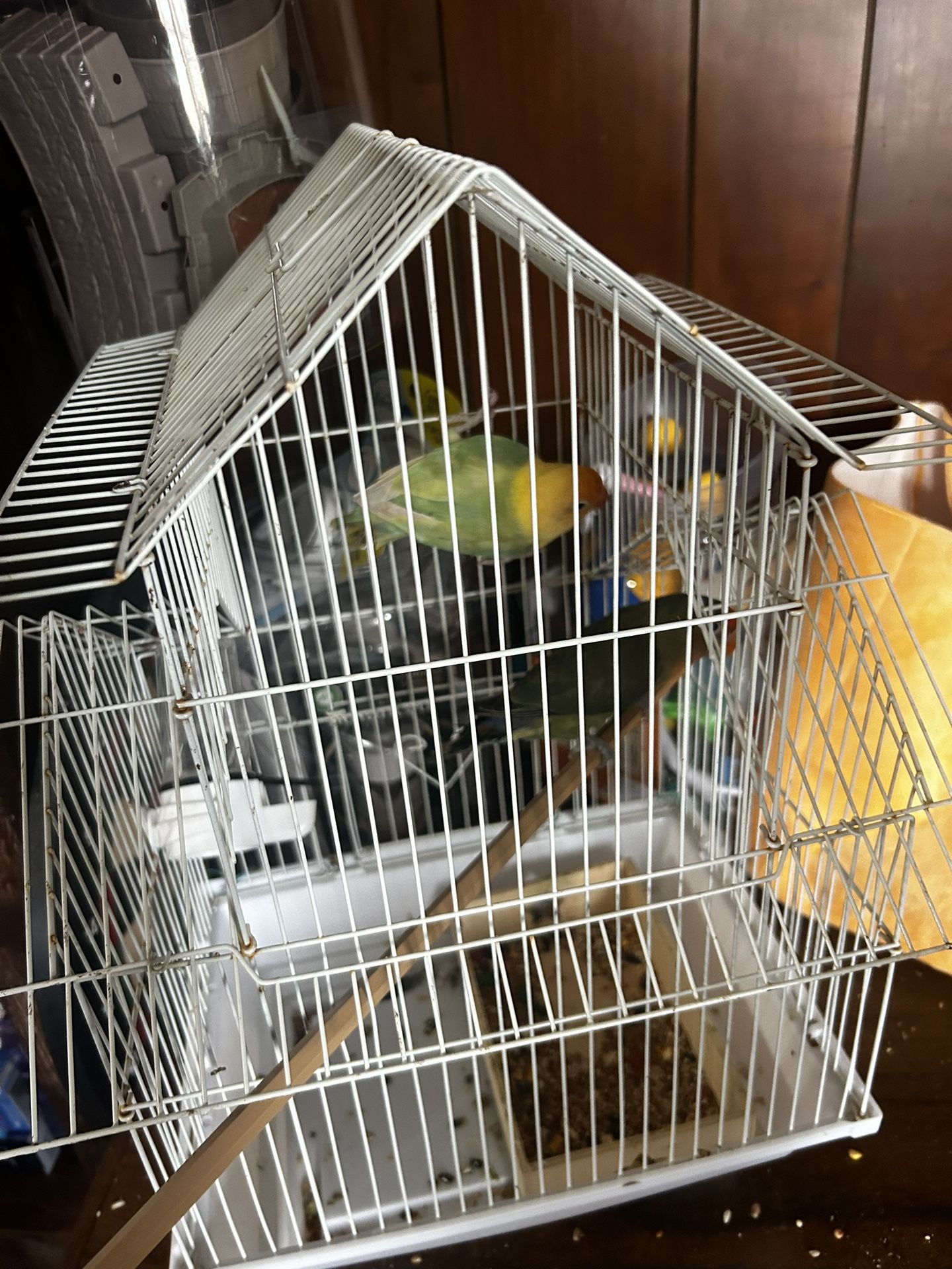 Cage 