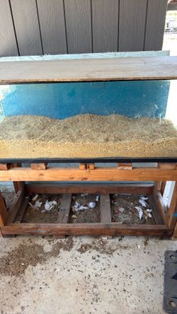 Tank for reptiles