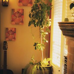 Artwork Set (3 Pcs Set)