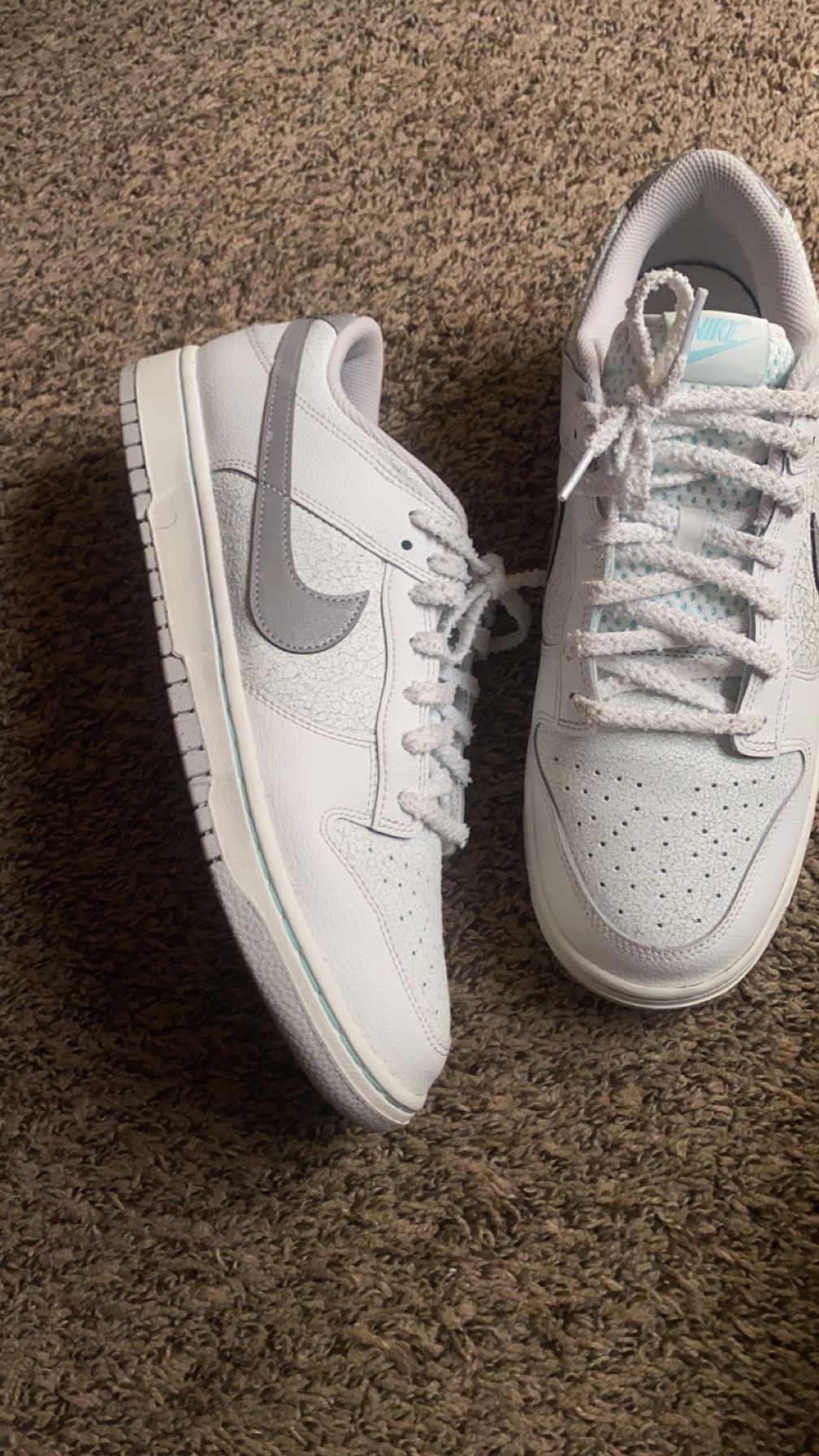 Dunks Size 12