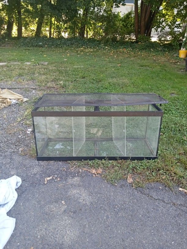 Fishtank With 3 Separated And Lid