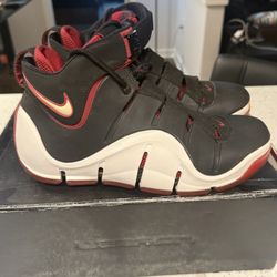 Size 9.5 Nike Zoom LeBron IV