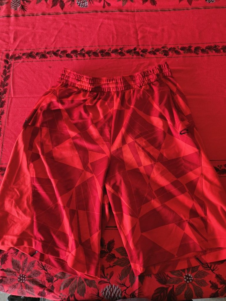 Red Champion Duo Dry Athletic Shorts