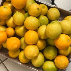 Free Limones 