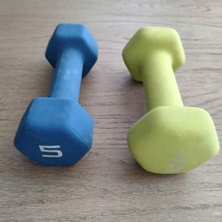 5 lb Hand Weights - 2