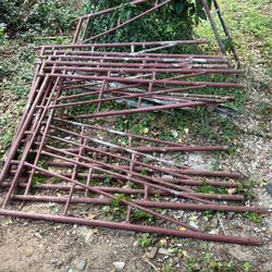 Eight pieces of scaffolding 