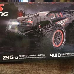 Hosim X25 Vortan, 
1:8 RC truggy.
 
