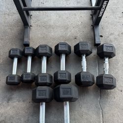 Dumbbells With Rack 