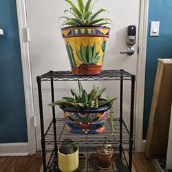 Plant Stand - Metal