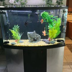 Aquarium