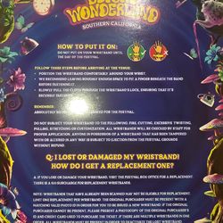 Beyond Wonderland EDC