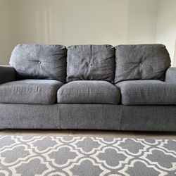 Couch With Pull Out Bed 