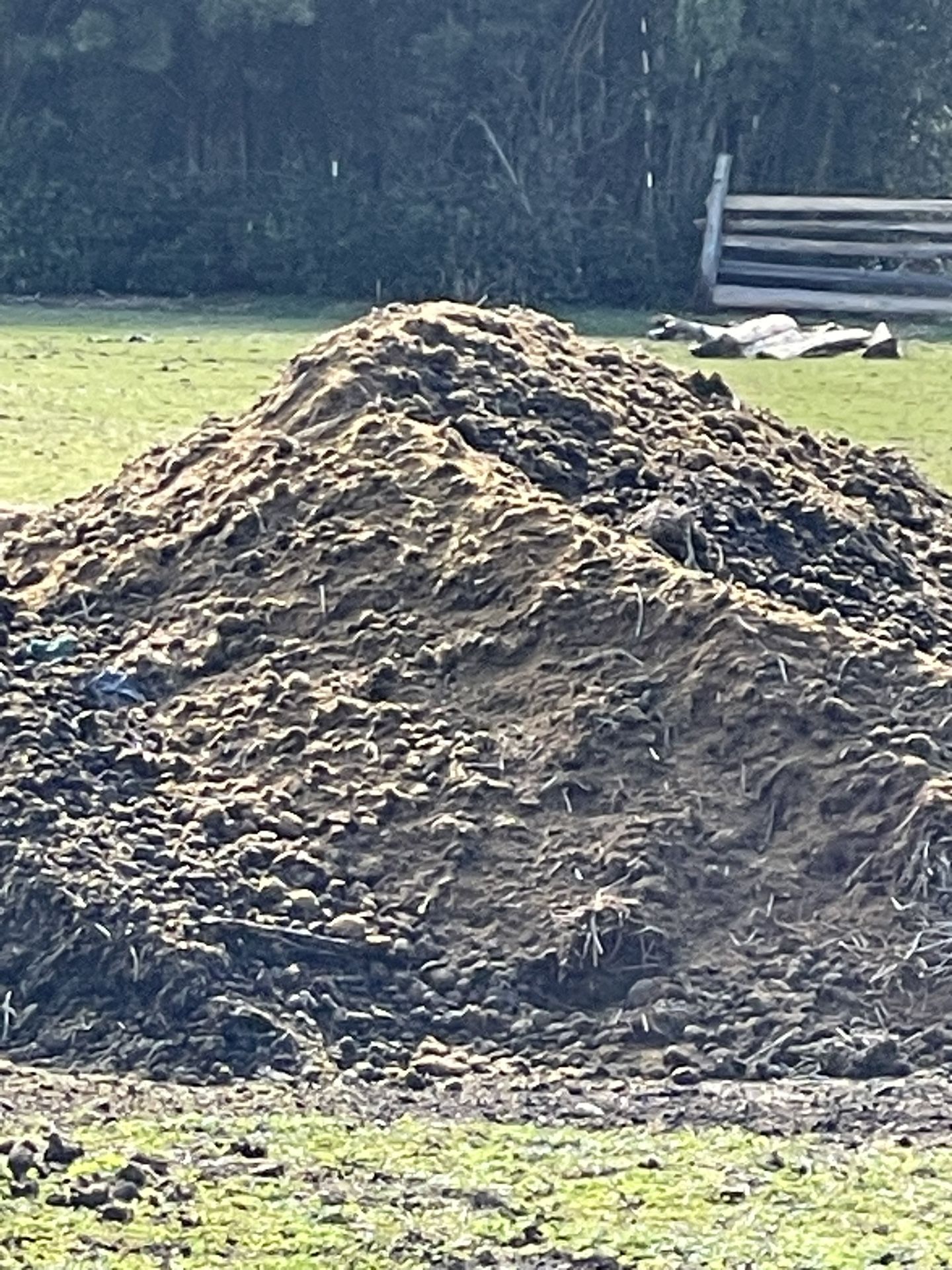 Manure For Gardens