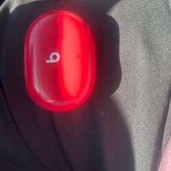 Beats Buds ( Perfect Condition)