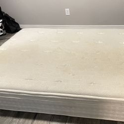 Free Queen Mattress 