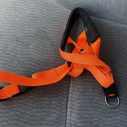 No Pull Dog Harness