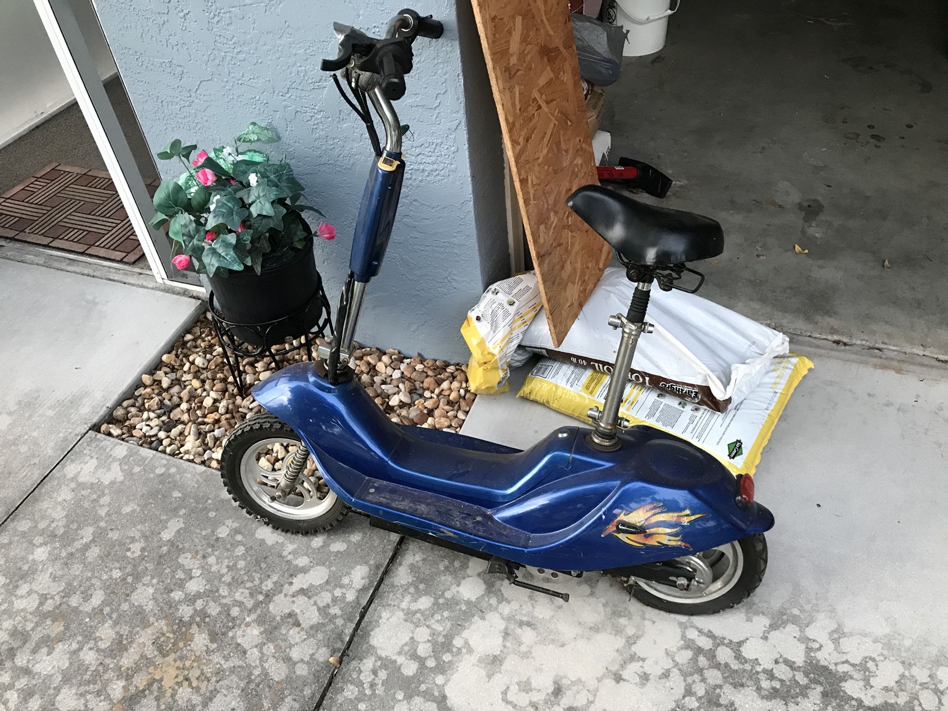 Nice moped needs Tlc