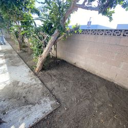 Yard Clean Up
