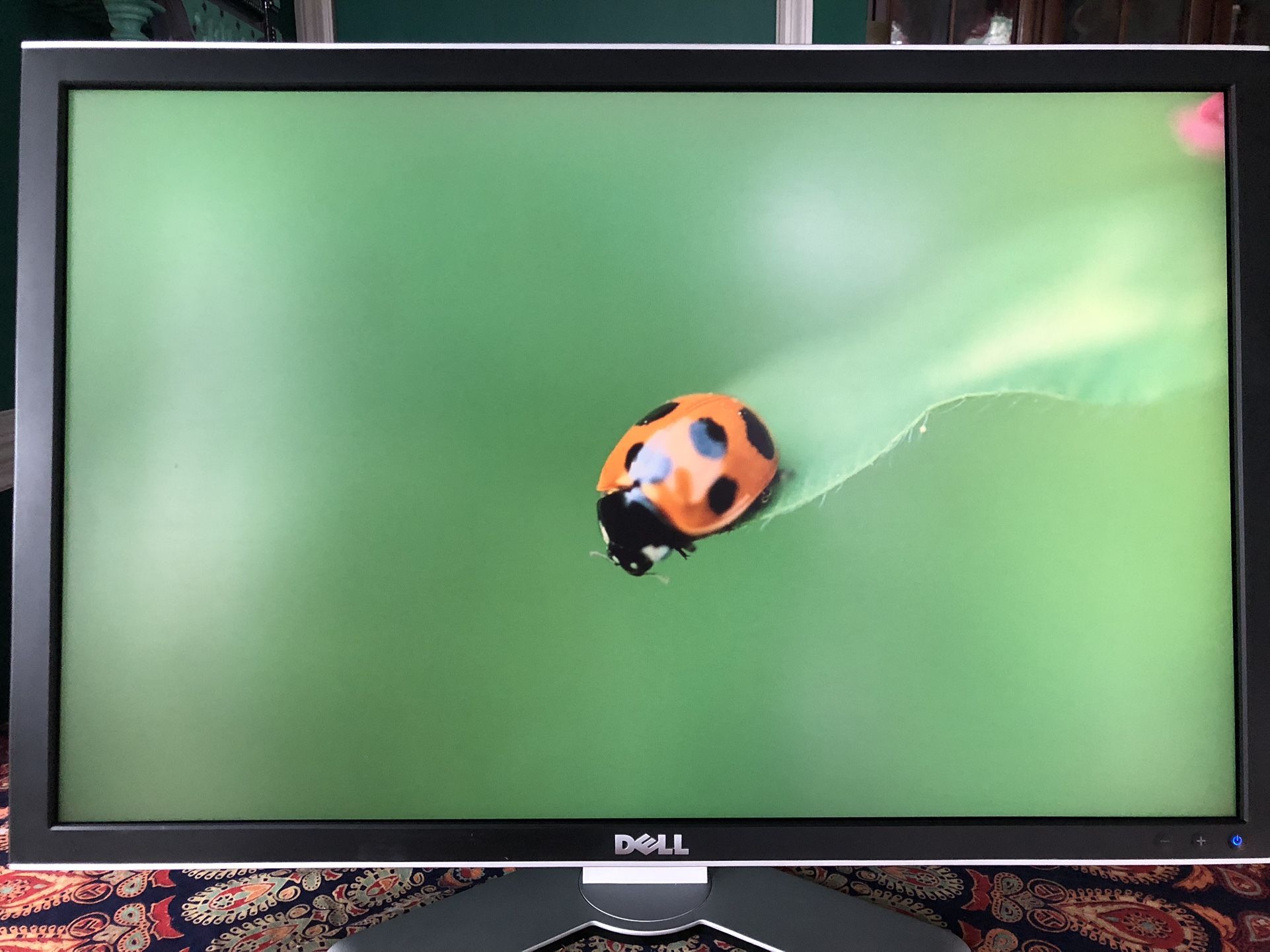 Dell 3007WFPt LCD Monitor 