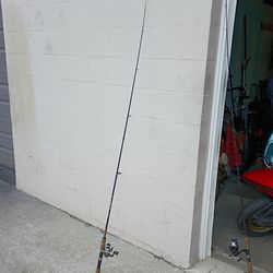 Fishing poles spin cast combo